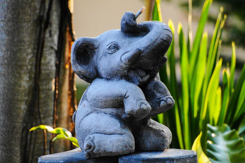 Thai Dee Garden Resort Haad Rin Extérieur photo